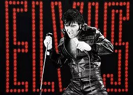 Elvis Logo